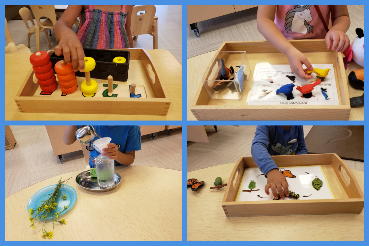 A collage of children working on 5 dowels with rings;  matching bird figurines to their photos; arranging fresh flowers in a vase; and matching objects to the life cycle of a butterfly